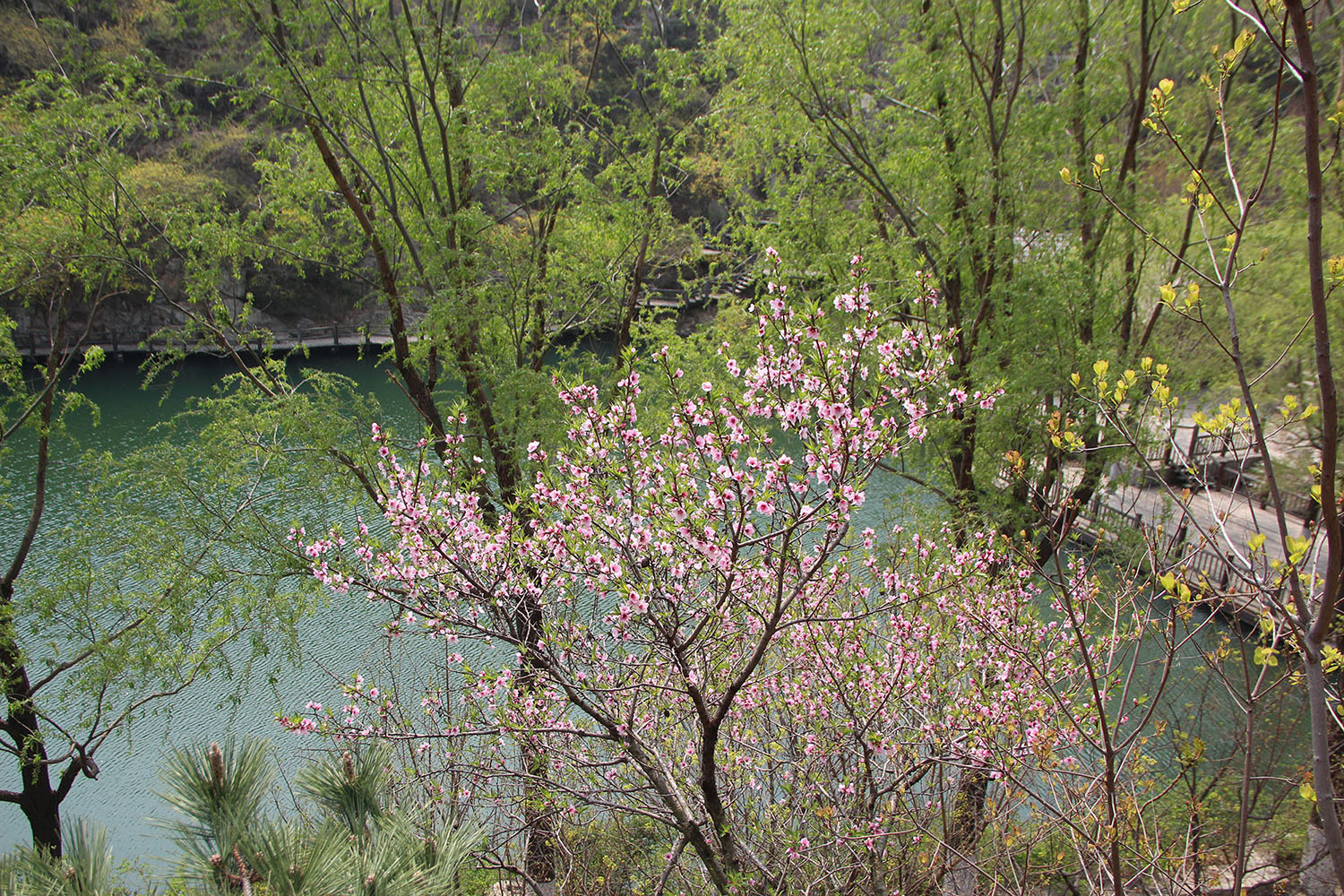 2021，濟(jì)南辰達(dá)試驗機(jī)制造有限公司九如山一日游！